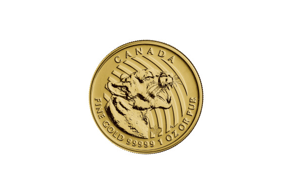 1oz Gold 2015 Canadian Growling Cougar Coin